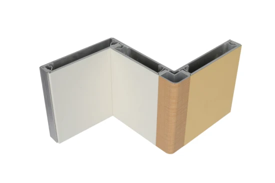 Building Material Wall Panel Dibond ACP Acm PE PVDF Feve Glossy Coating Aluminum Plastic Composite Material Sheet Cladding Panel
